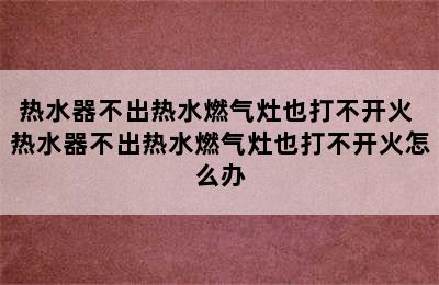 热水器不出热水燃气灶也打不开火 热水器不出热水燃气灶也打不开火怎么办